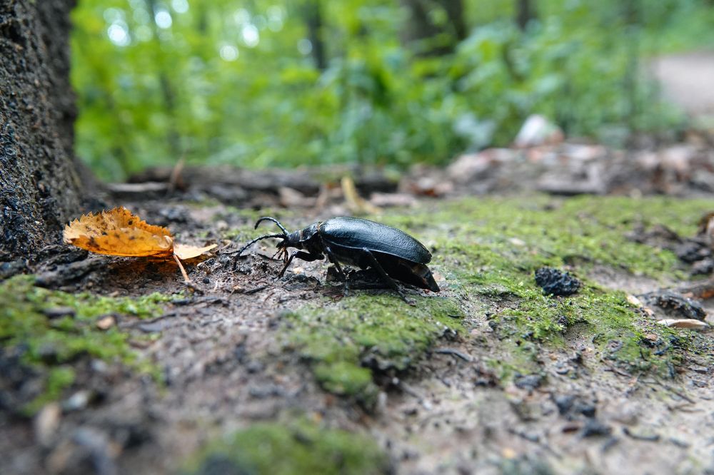 Photograph by Светлана Соболева
