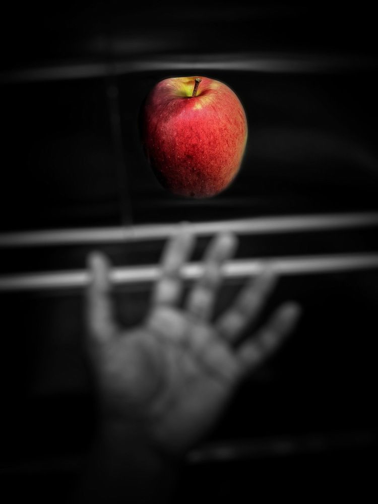 Фотография автора Adonis Aydalla