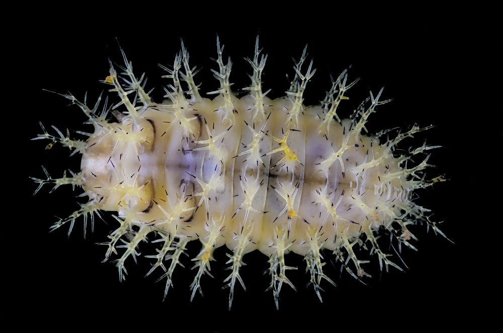 Photograph by Vinodkumar S