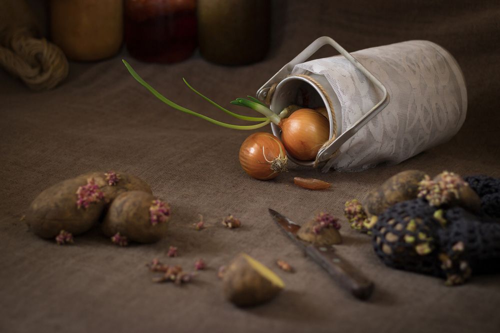 Photograph by Вероника Мищенко