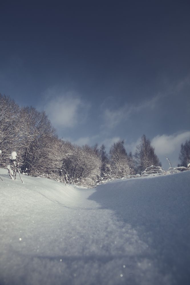 Photograph by Николай Брытков