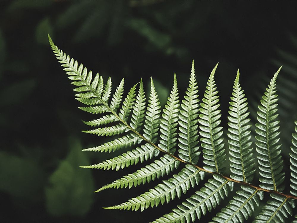 Photograph by Вера Силкина