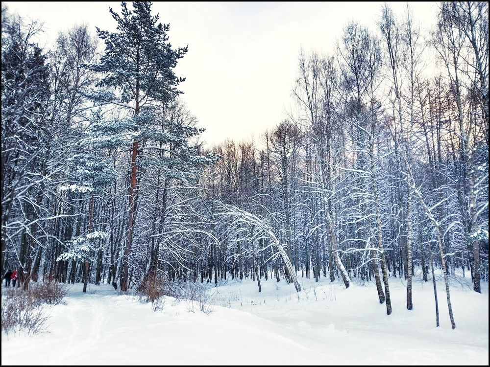 Photo #5657853