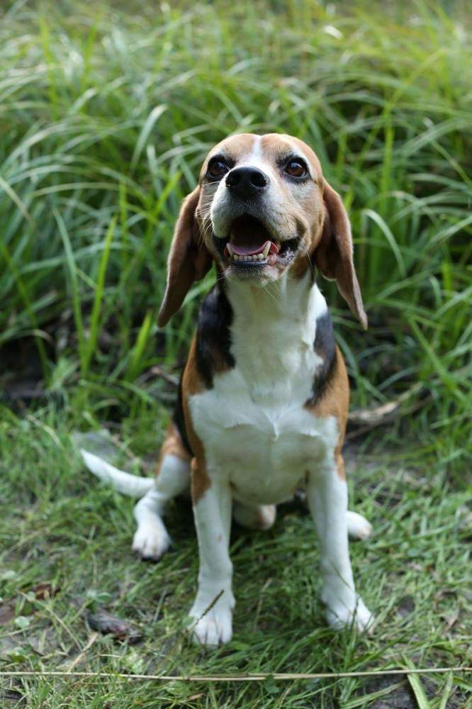 Фотография автора Анна Яковенко