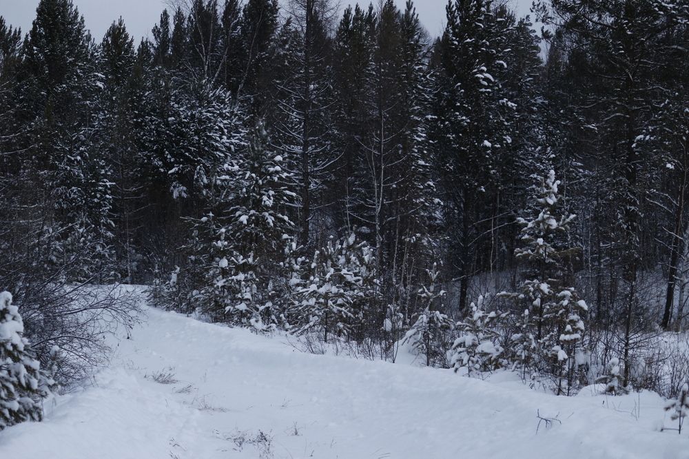 Photograph by Елена Федорова