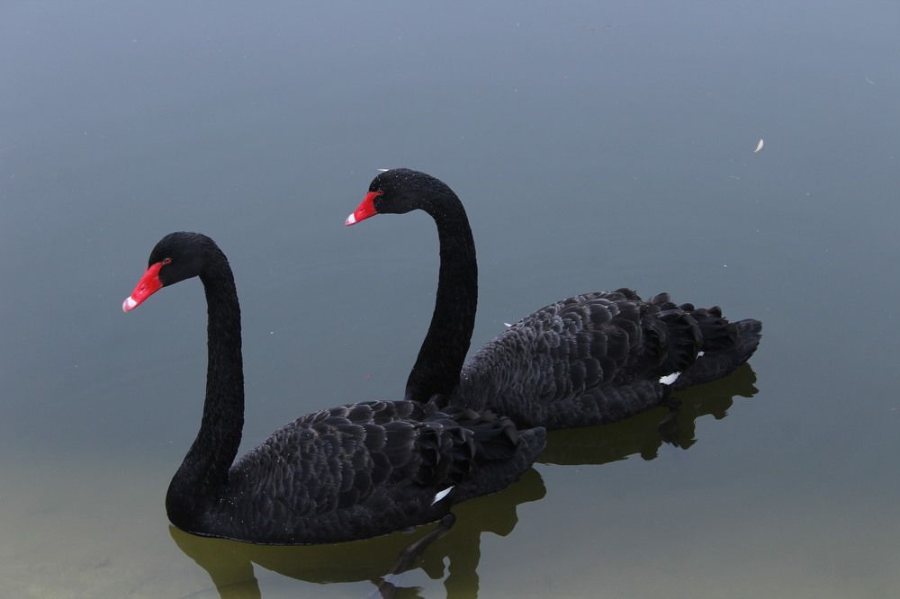 Photograph by Глеб Мацак