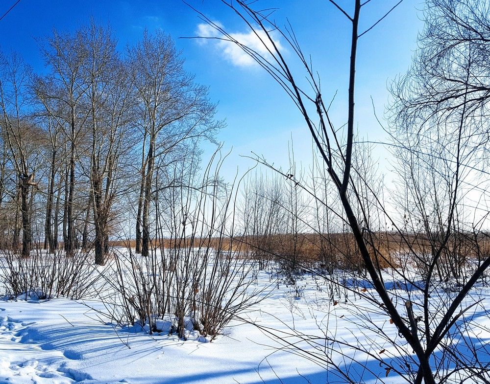 Photograph by Екатерина Емельянова