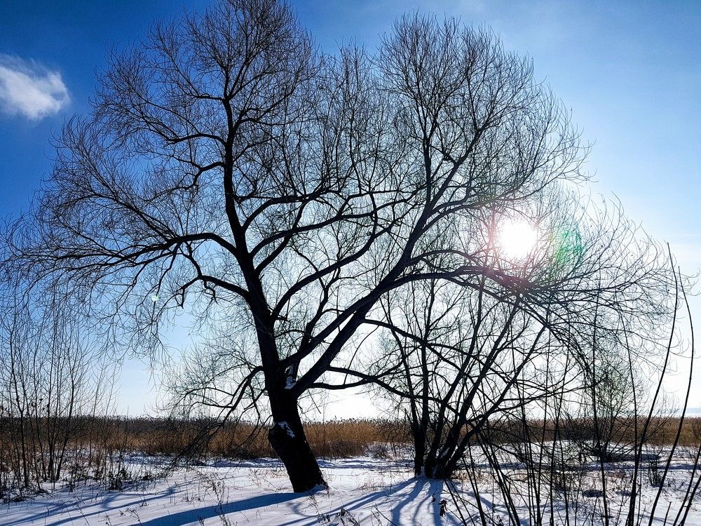 Photograph by Екатерина Емельянова