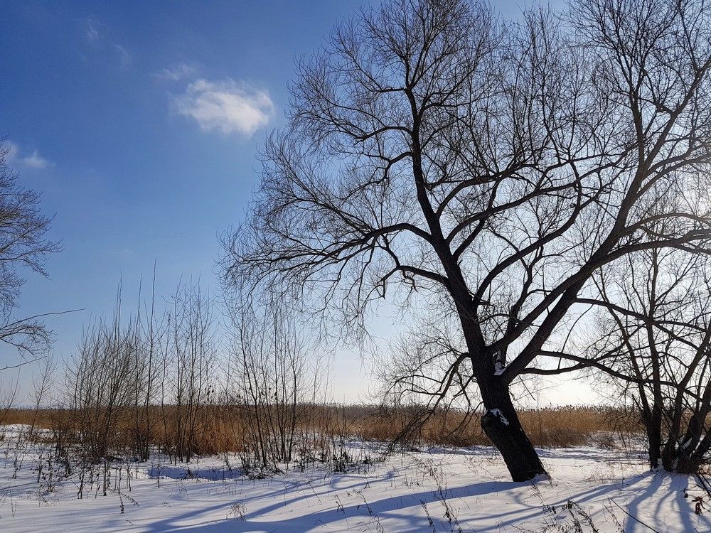 Photograph by Екатерина Емельянова