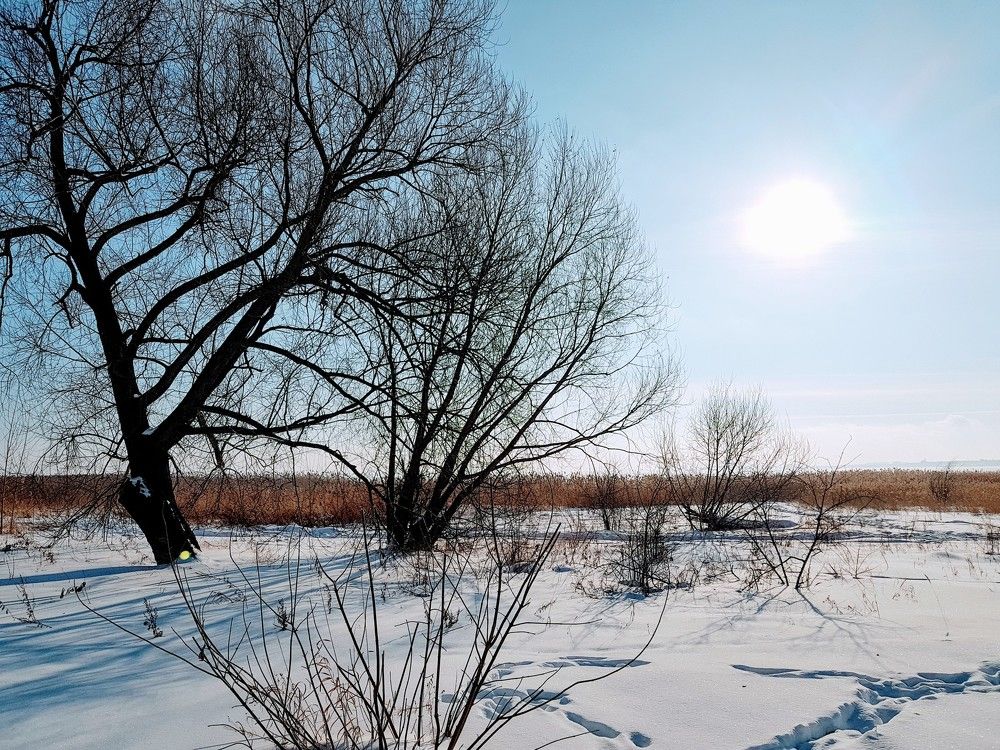 Photograph by Екатерина Емельянова