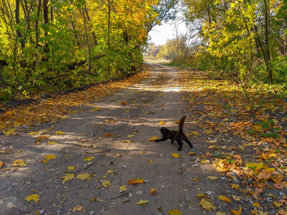 Photograph by Светлана Кондрашова