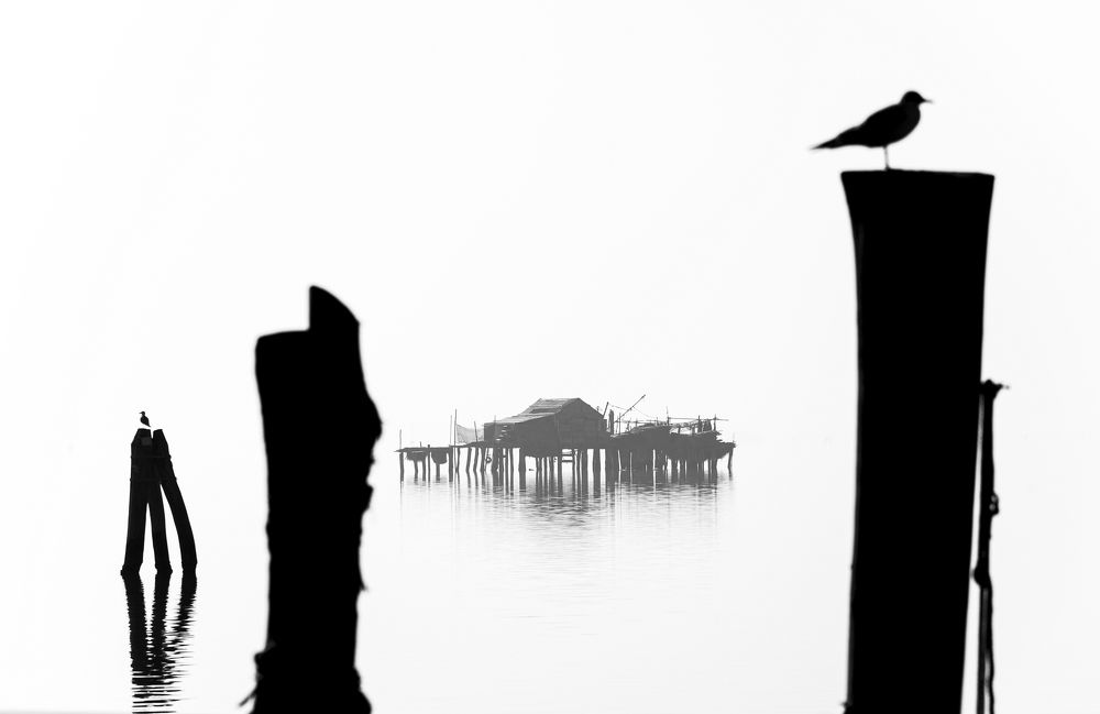 Photograph by damiano pignatti