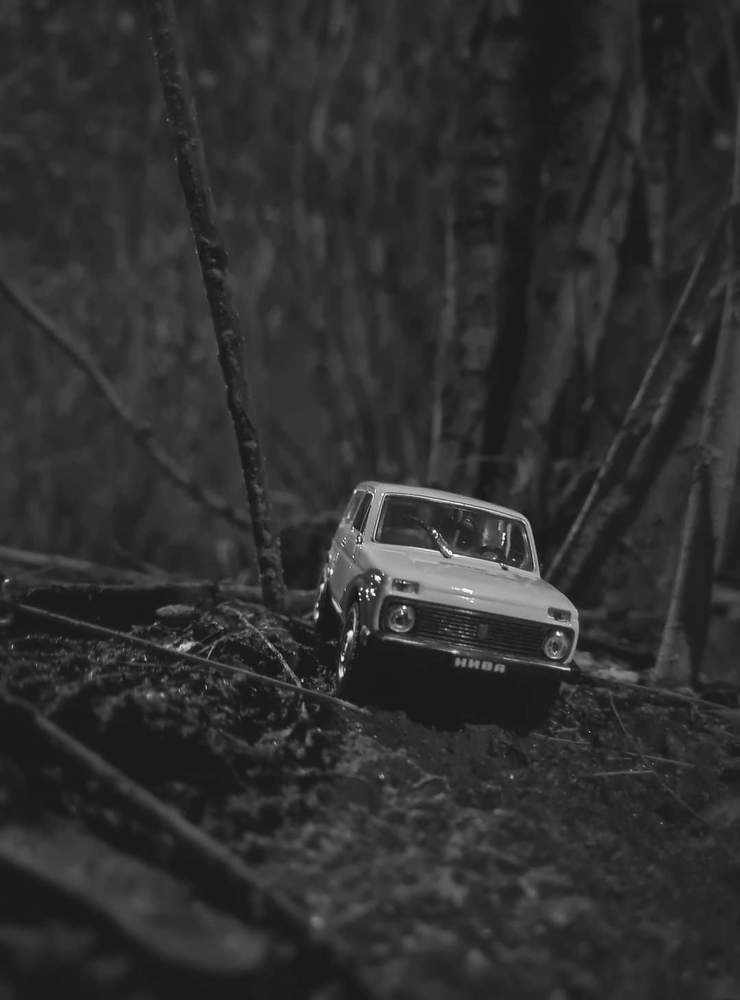 Photograph by Anastasiia