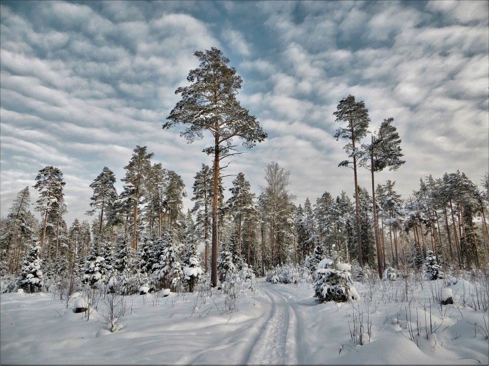 Photograph by Екатерина Салий