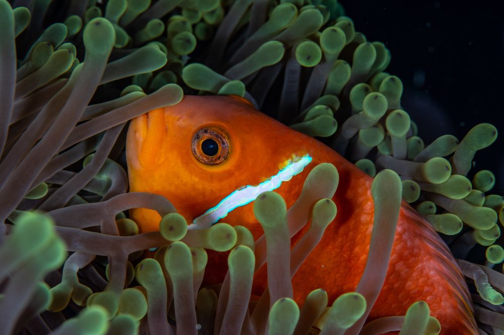 Photograph by Carlos Eduardo Barreto Pinheiro