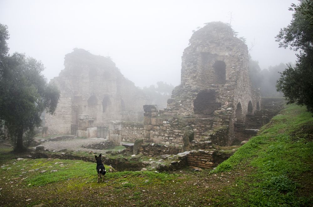 Photograph by Muhammed Diler