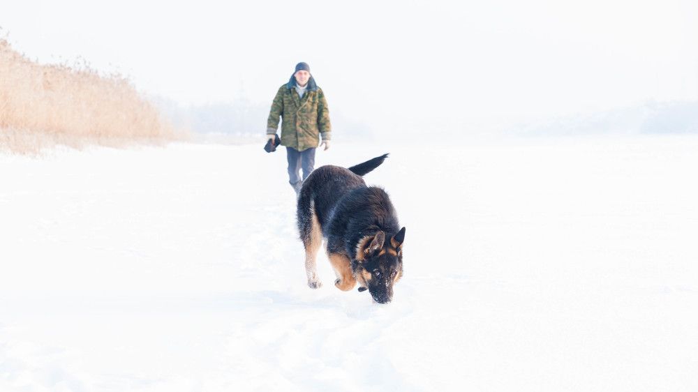 Photograph by Максим Миронов