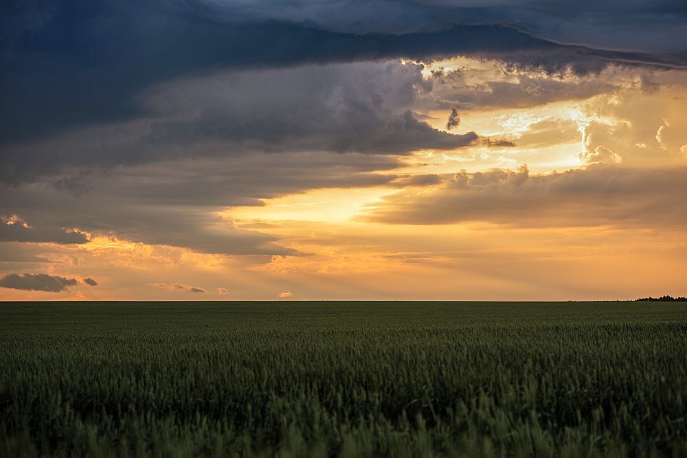 Photograph by Светлана Викторова