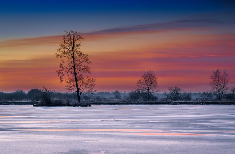 Photograph by Dariusz Budyta