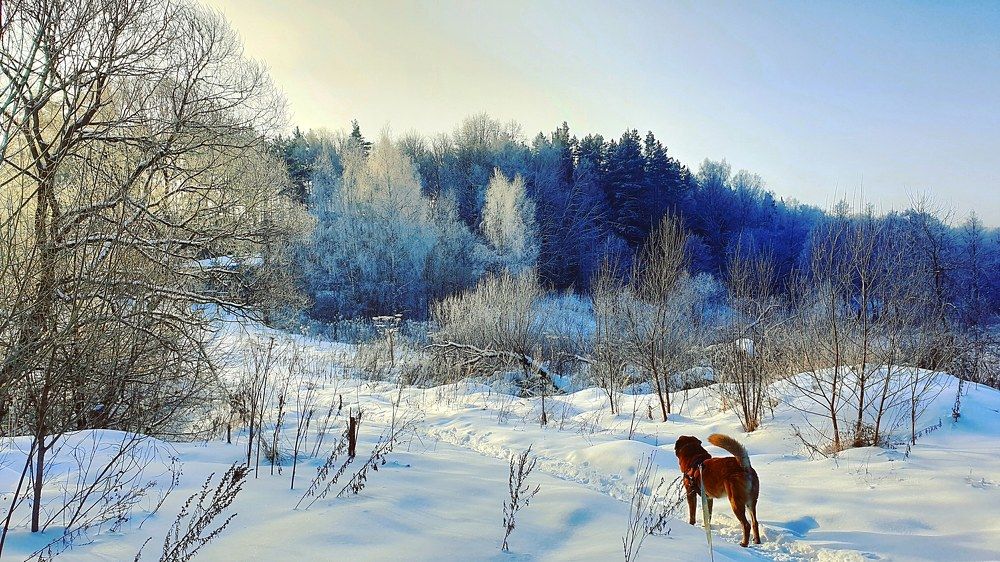 Февральская лазурь