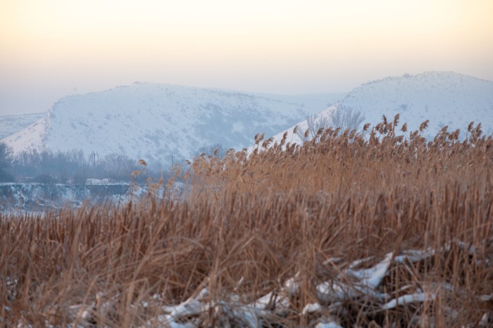 Photograph by Максим Миронов