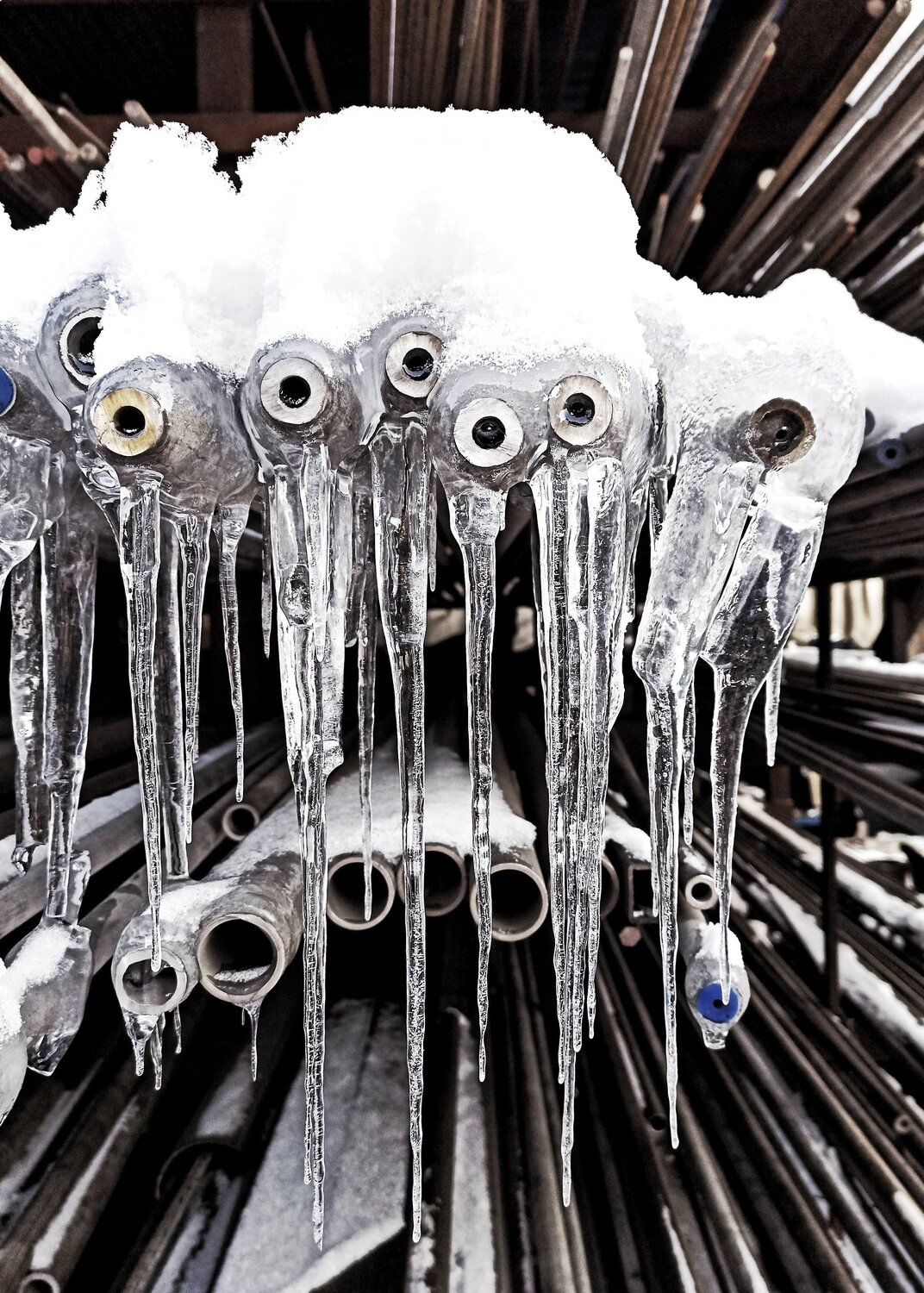 Photo #5658297