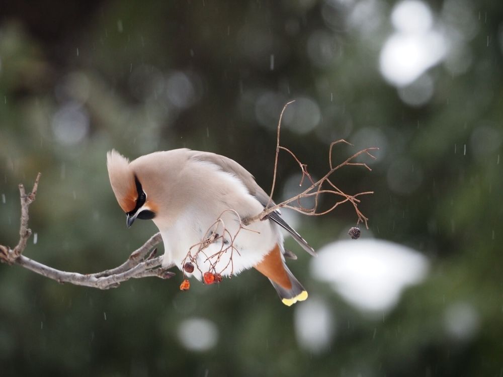 Photograph by Xeniya Kolosova