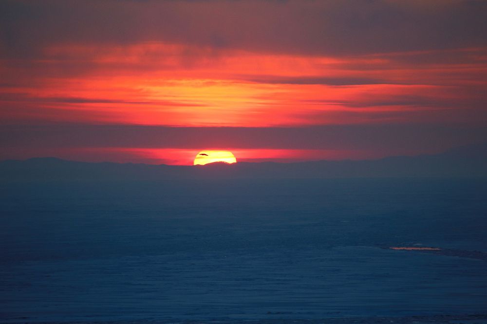 Photograph by Наталья Степченко