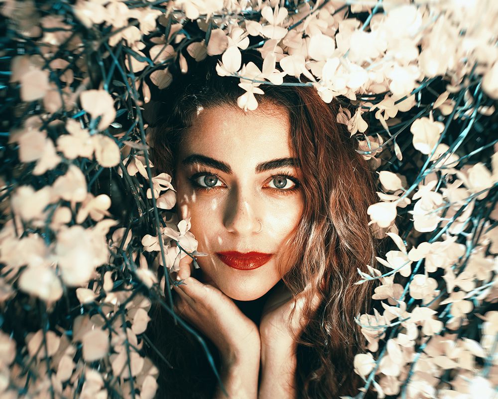 Фотография автора Alireza Karimian