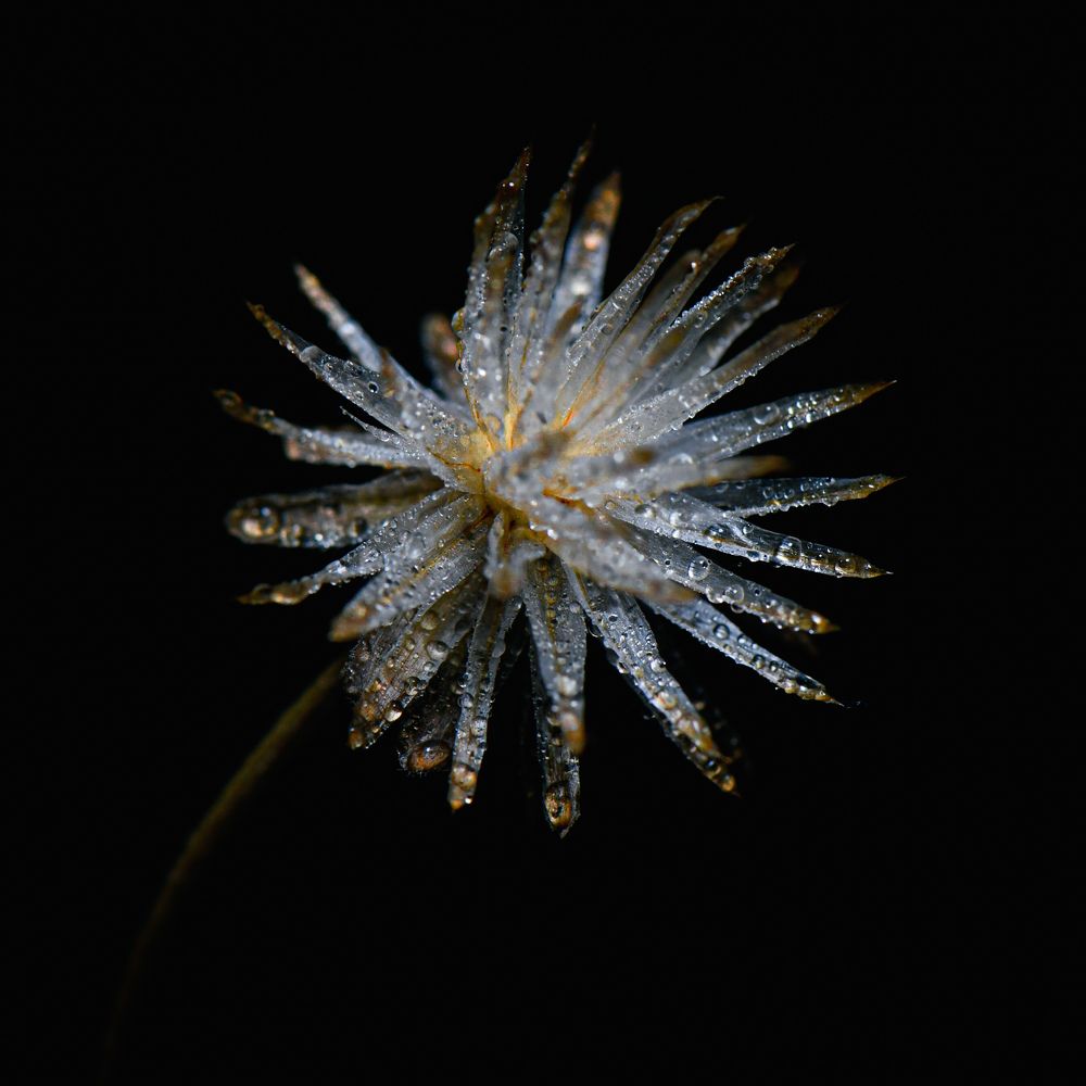 Photograph by Aakash Kumar