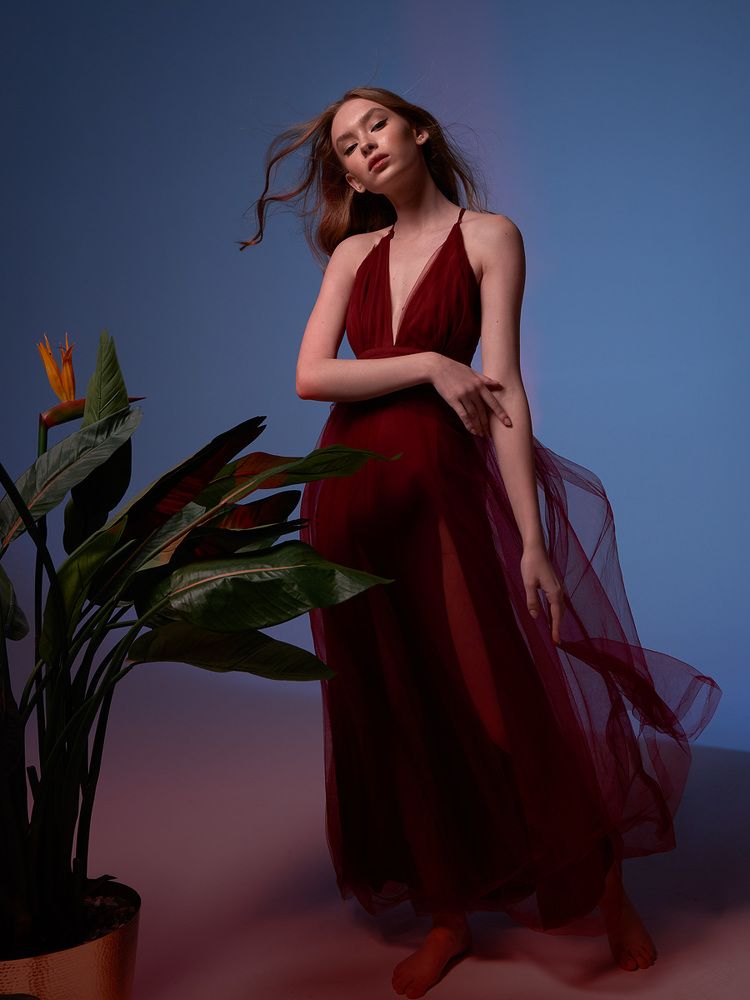 Фотография автора Ксения Долгорукова