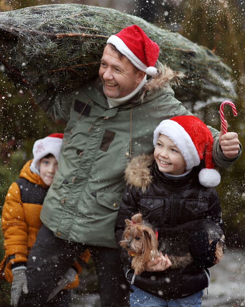 Photograph by Цыганок Катя и Олег