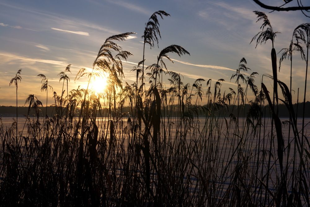 Photograph by Александр Кращук