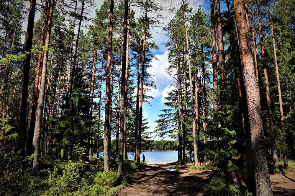 Photograph by Евгения