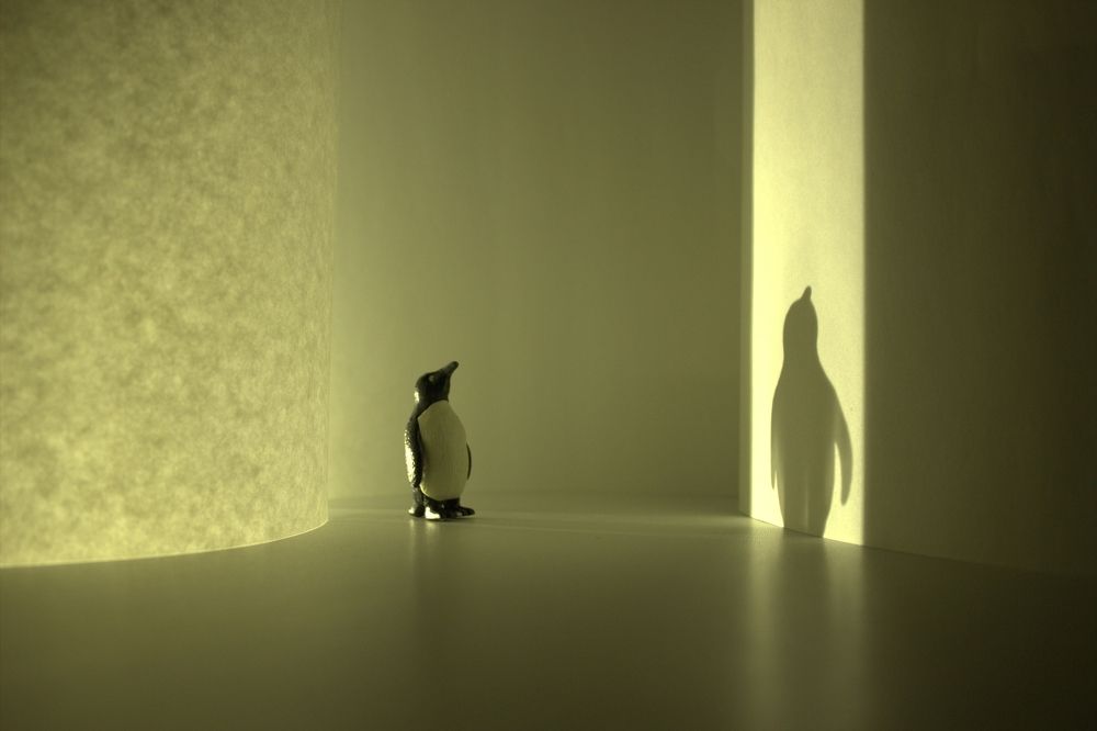 Photograph by Вадим Новокшонов