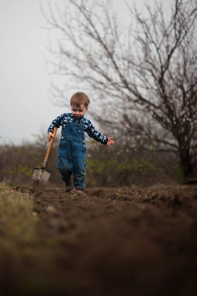 Маленький огородник