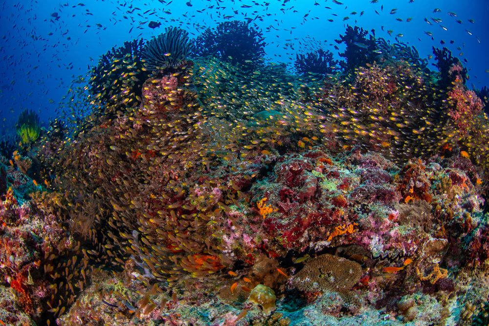 Photograph by Carlos Eduardo Barreto Pinheiro