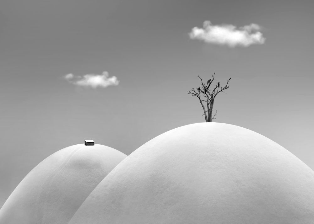 Фотография автора mehrdad Alizadeh