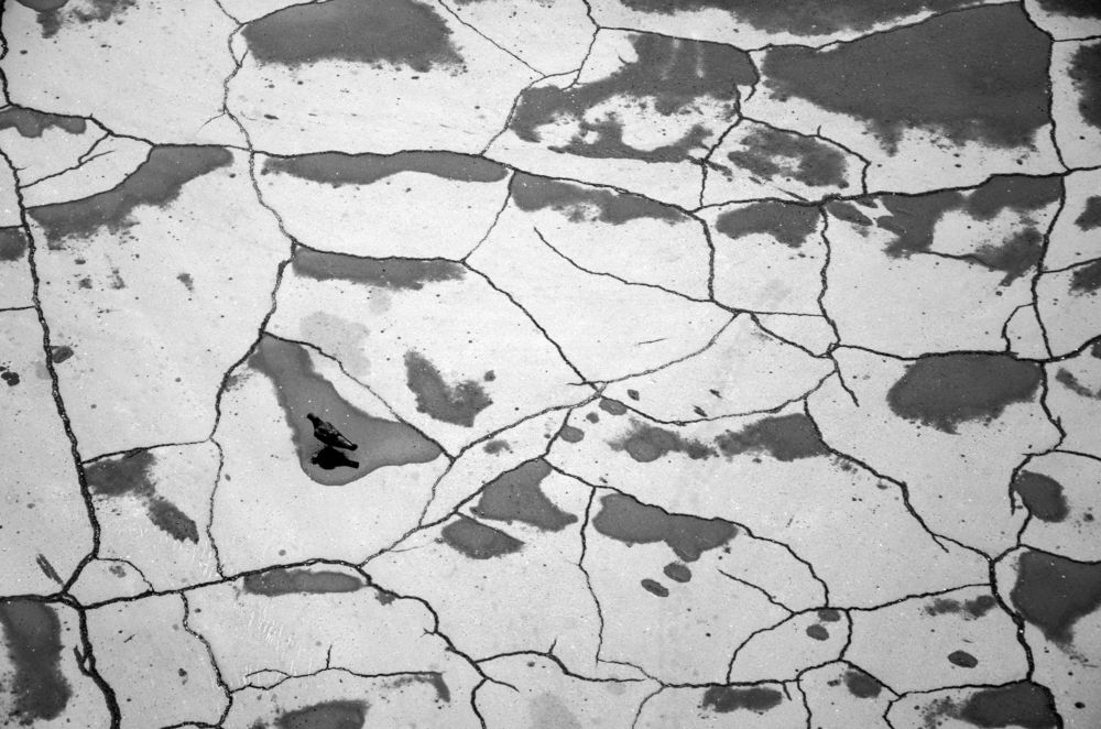 После дождя