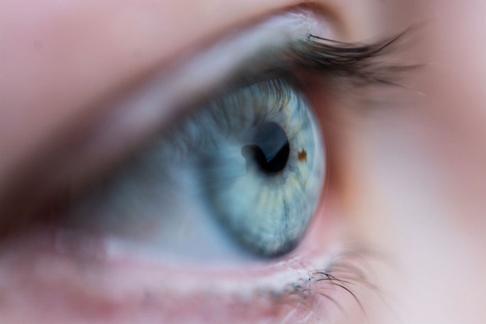 Photograph by Гибина Екатерина