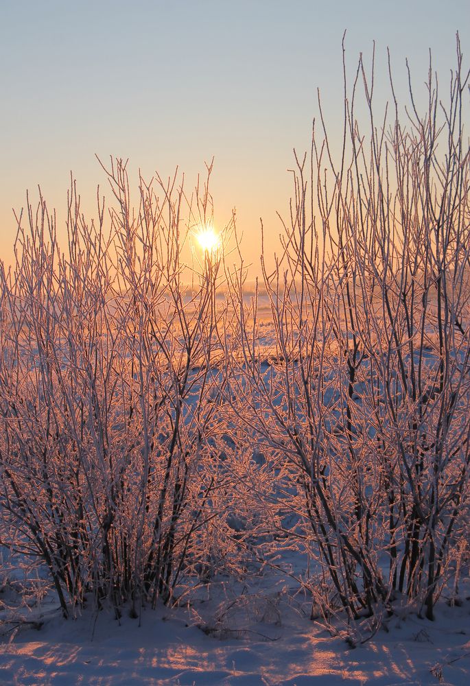 Photograph by Светлана Жорнова