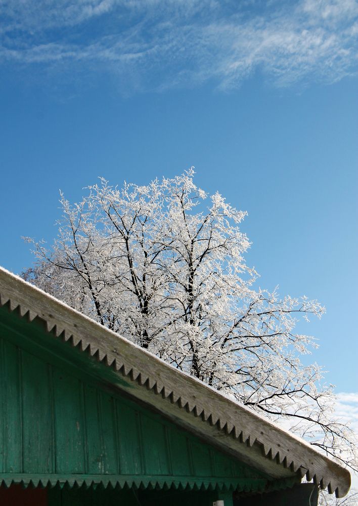 Photograph by Светлана Жорнова