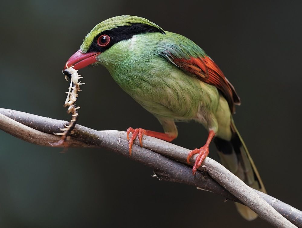 Photograph by Kan Chung Wong