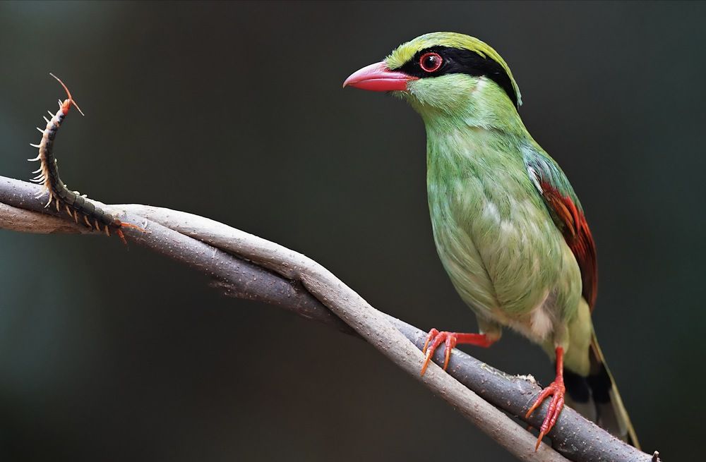 Photograph by Kan Chung Wong