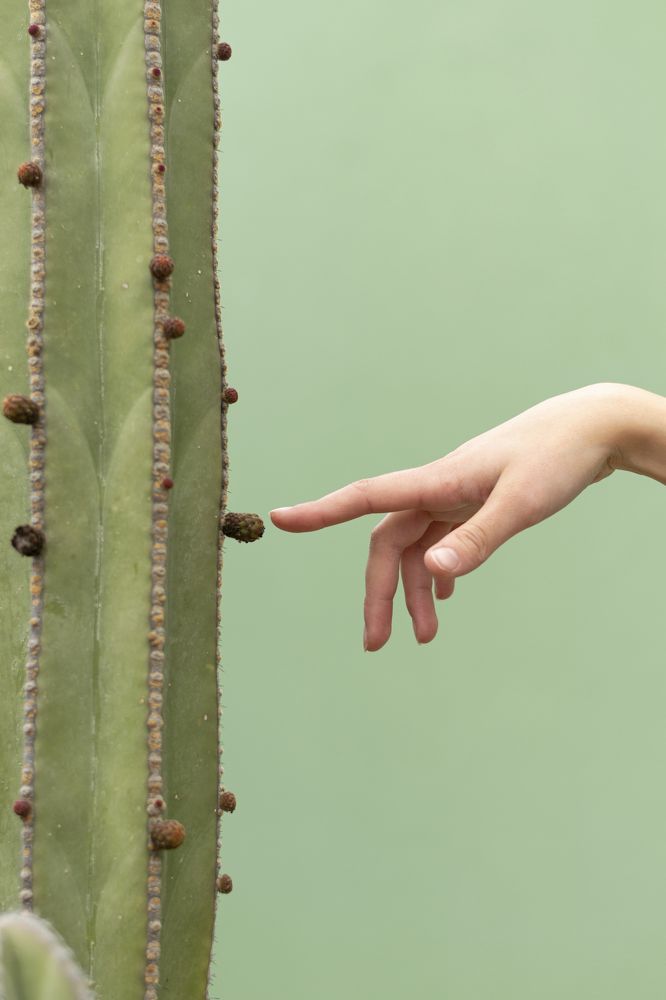 Photograph by Andrea Alfaro