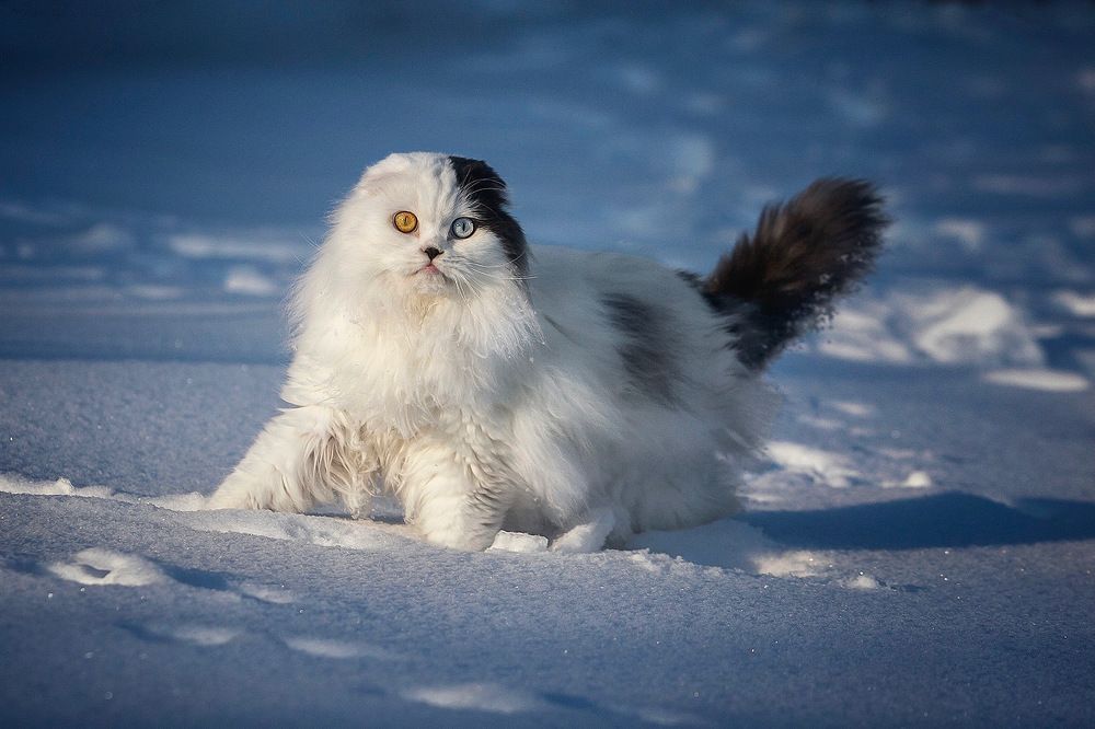 Photograph by Ольга Замковая