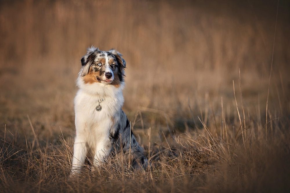 Photograph by Ольга Замковая