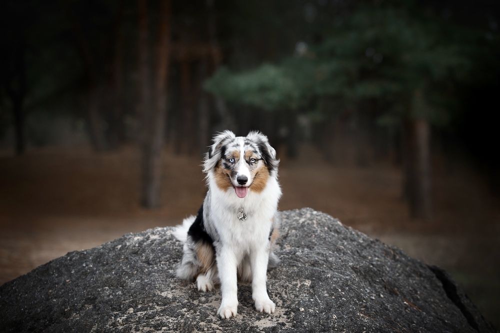 Photograph by Ольга Замковая