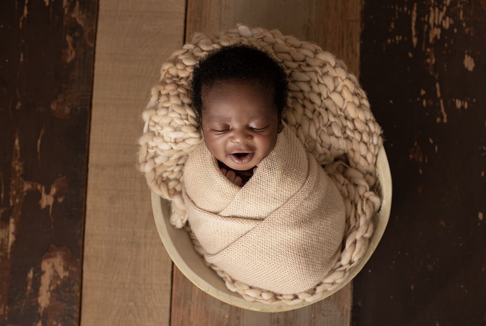 Photograph by Cécile Rulmont