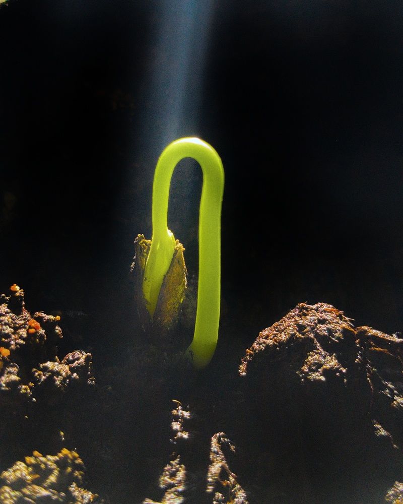 Photograph by Хачик Аджатян